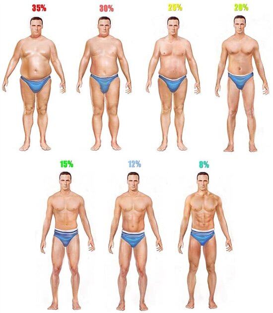 体脂肪图