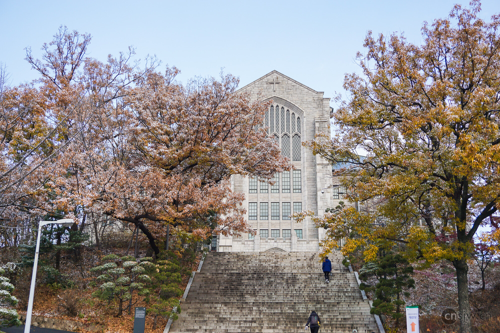 关于韩国的首尔大学。